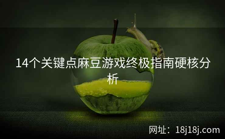 14个关键点麻豆游戏终极指南硬核分析